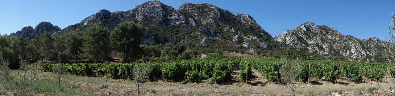 Les Lavandins-Gite Frederic Saint-Rémy-de-Provence エクステリア 写真