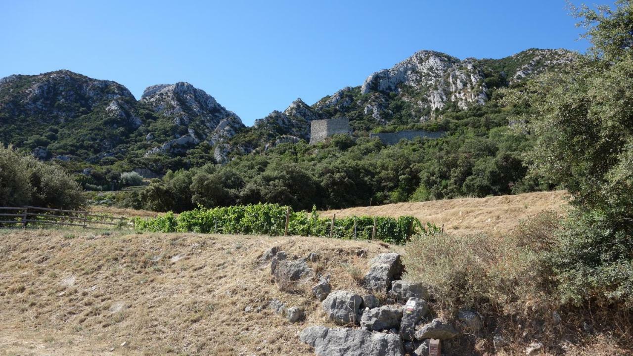 Les Lavandins-Gite Frederic Saint-Rémy-de-Provence エクステリア 写真