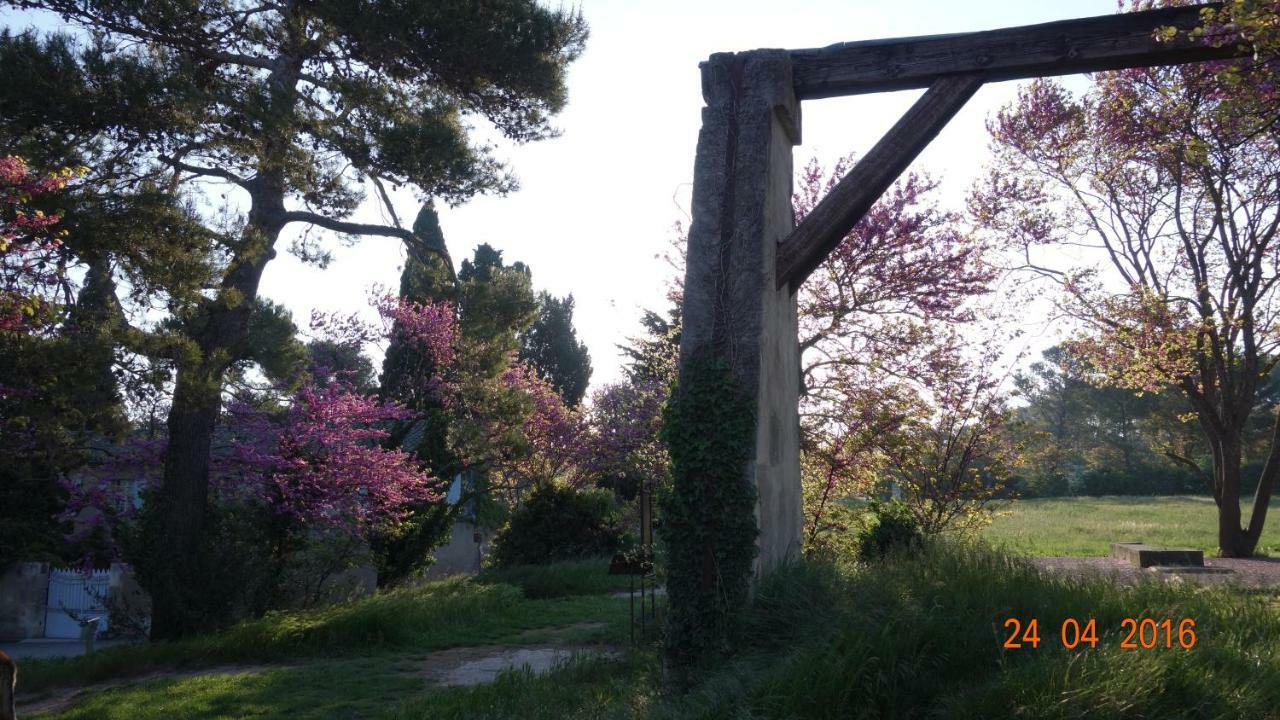 Les Lavandins-Gite Frederic Saint-Rémy-de-Provence エクステリア 写真